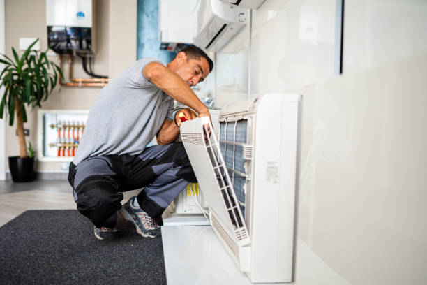 Air Duct Mold Removal in Grover, WY